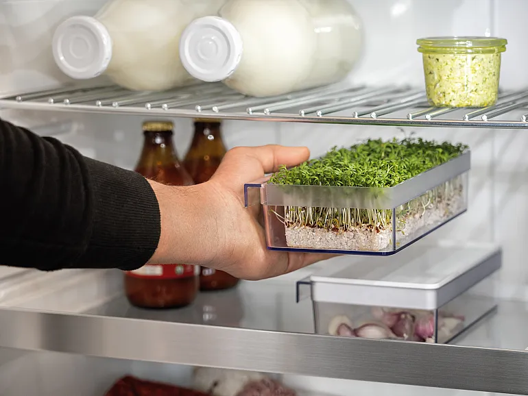 Aufbewahrungsbox mit Kresse wird in Kühlschrank gestellt