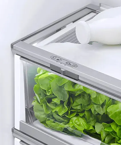 Fisher &amp; Paykel French Door RS80A