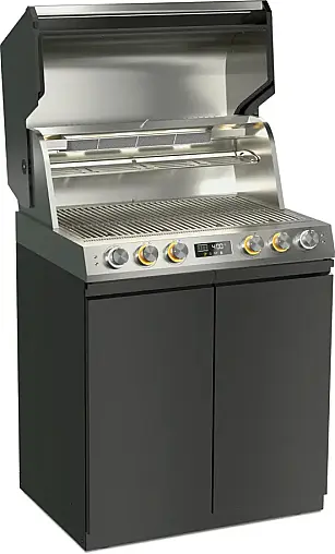 - Vernetzter Gasgrill