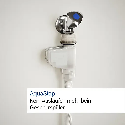 Bosch Serie 6, Vollintegrierter Geschirrspüler, 60 cm, VarioScharnier für besondere Einbausituationen SMT6TC800E (Koje 24)