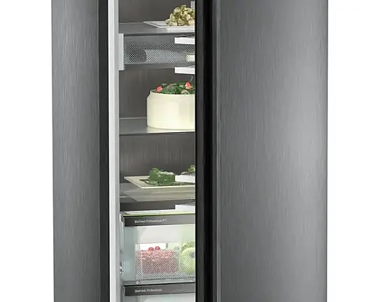 Liebherr Stand-Kühlschränke mit BioFresh - RBbsc 528i-22