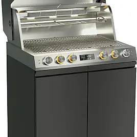 - Vernetzter Gasgrill