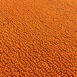 Teppich | 170 x 240 cm