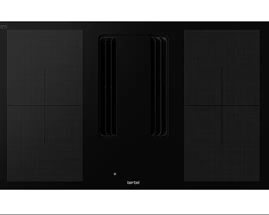 Berbel Muldenlüfter Schwarz / Selbstabholung - BKA DLP 1100079