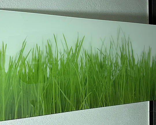 Glasrückwand "Green Grass" 6mm - Lechner Glasrückwand