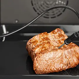 BOSCH Bratenthermometer PerfectRoast meat probe Micro Wave