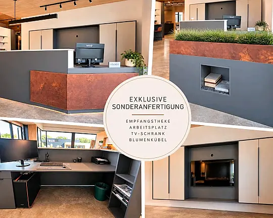 Empfangsbereich / Empfangsbereich / Arbeitsplatz mit Schreibtisch - Sonderanfertigung Empfangstheke / Arbeitsplatz mit TV-Schrank & Pflanzkübel