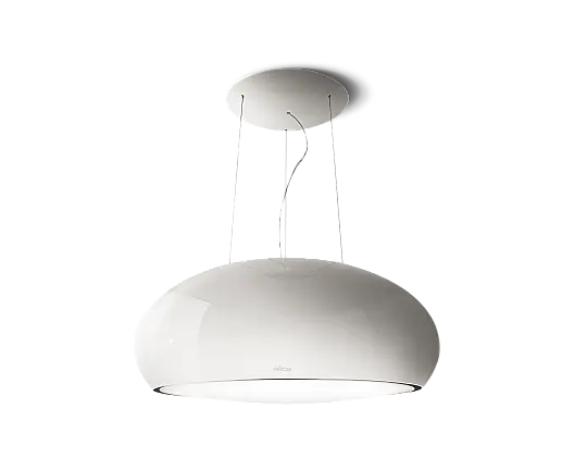 SEASHELL WH/F/80 - PRF0024262A